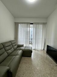 The Luxurie (D19), Condominium #538860961